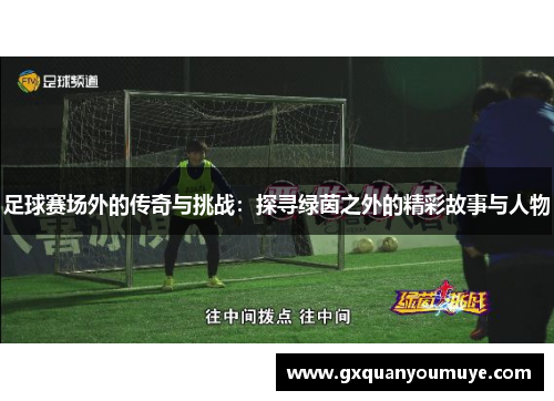 足球赛场外的传奇与挑战：探寻绿茵之外的精彩故事与人物